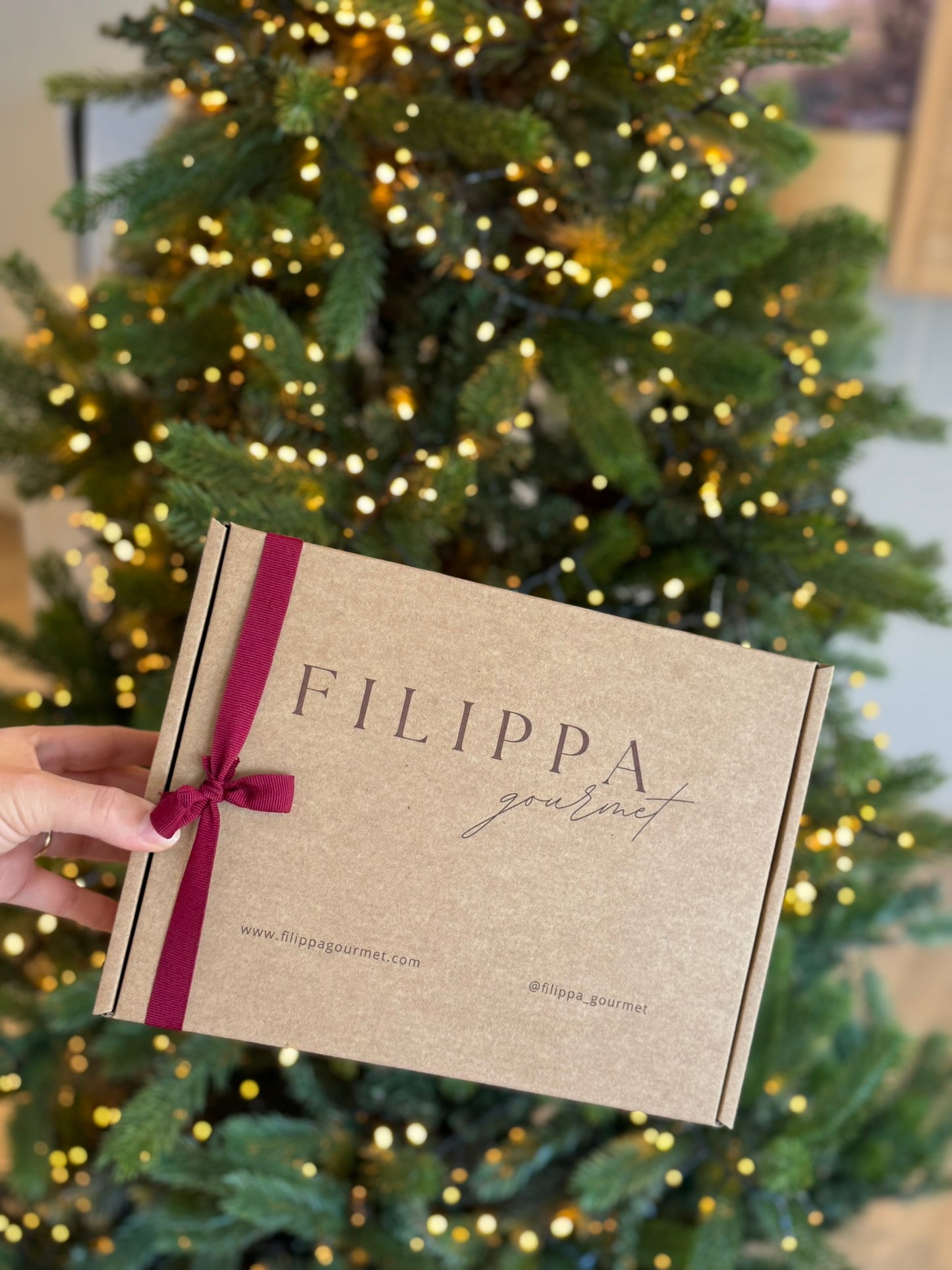 Caja Navidad Ibéricos & Vino